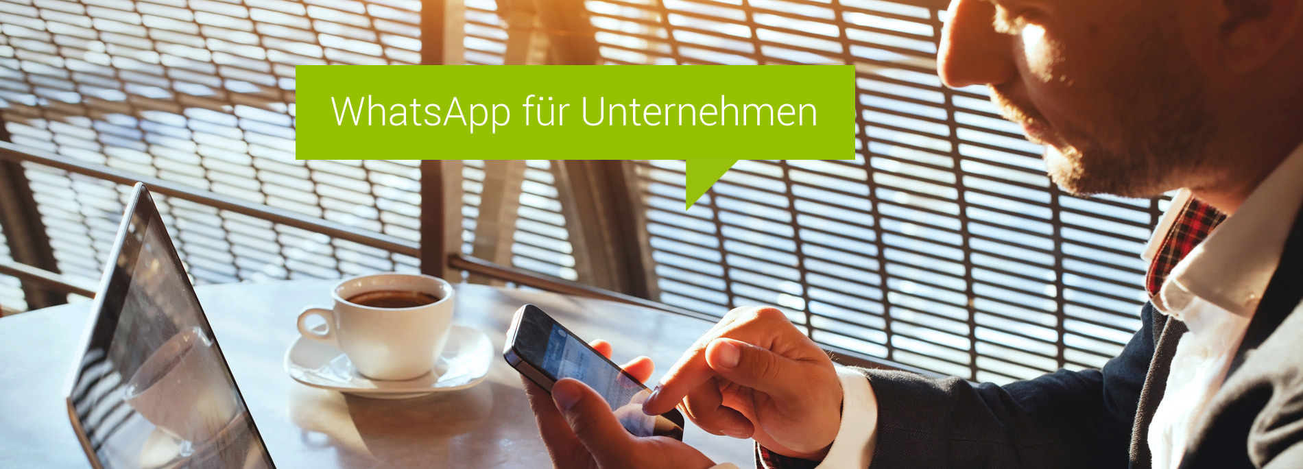 header_5 WhatsApp header_5 WhatsApp